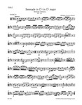 Serenade D major K. 239 (Serenata notturna)