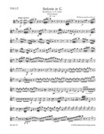 Symphony (Overture) G major K. 318