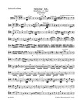 Symphony (Overture) G major K. 318