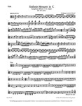 Symphony C major K. 409