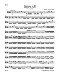 Symphony D major K. 111/120(111a)
