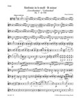 Symphony Nr. 7 B minor D 759 "Unfinished"
