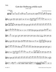 Gott der Hoffnung erfulle euch TVWV 1:634 -Cantata for Whit Sunday-