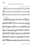 Wer nur den lieben Gott la?t walten -Cantata-