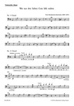 Wer nur den lieben Gott la?t walten -Cantata-