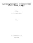Pollux fur chamberorchestra (1999)