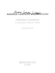 Cammina cammina fur Mezzosopran, Bratsche, Theorbe (1996)
