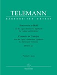 Concerto for Violin and Orchestra A minor TWV 51:a 2 (From the opera "Emma und Eginhard")