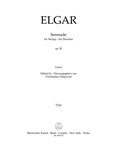 Serenade for Strings op. 20