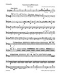 A Midsummer Night's Dream op. 21 -Concert Overture-