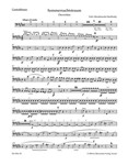 A Midsummer Night's Dream op. 21 -Concert Overture-