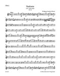 Symphony Nr. 5 B-flat major K. 22