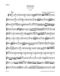 Symphony Nr. 8 D major K. 48