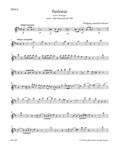 Symphony D major (based on Serenade K. 320)