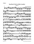 Praise ye God thruout creation BWV 51 -Cantata for the 15th Sunday after Trinity-