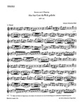 Also hat Gott die Welt geliebt BWV 68 -Cantata for Whit Monday-