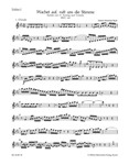 Wake ye maids! hark, strikes the hour BWV 140 -Cantata for the 27th sunday after Trinity-