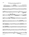 Wake ye maids! hark, strikes the hour BWV 140 -Cantata for the 27th sunday after Trinity-