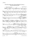 Slavonic Rhapsody G minor op. 45/2