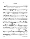 Serenade for String Orchestra E major op. 22