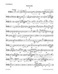 Serenade for String Orchestra E major op. 22