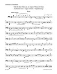 Mass in D major op. 86 (Organ version)