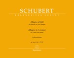 Allegro IN A minor opus post. 144 D 947 "Lebenssturme"