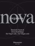 Zwischenklange for Organ Solo (2011)