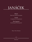 Youth (Arrangement for String Quartet)