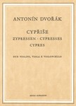 Cypresses