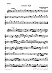 Sonate fur 2 Violinen, 2 Violen, Violoncello und Basso continuo f-Moll TWV 44:32 -Sextett-