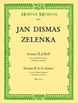 Sonata II g-Moll ZWV 181,2