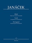 Youth (Arrangement for String Quartet)