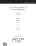 Symphony No. 5 1st Movement