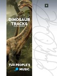 Dinosaur Tracks