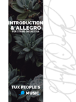 Introduction and Allegro