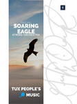 Soaring Eagle