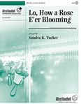 Lo, How a Rose E'er Blooming