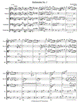 Sinfonietta NO. 1