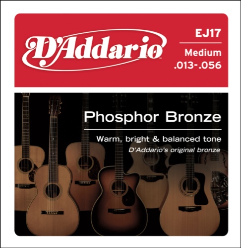 EJ17 D'addario Medium Acoustic Guitar String 13.56
