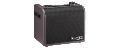 Ernie Williamson Music - VOX Vox AGA30 Acoustic Amp