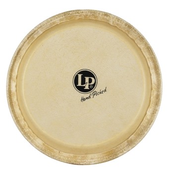 Lp 8 Rawhide Jr. Conga Head