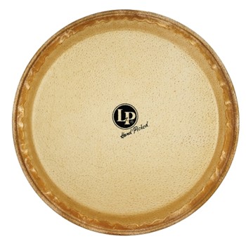 Lp 11 Rawhide Quinto Head