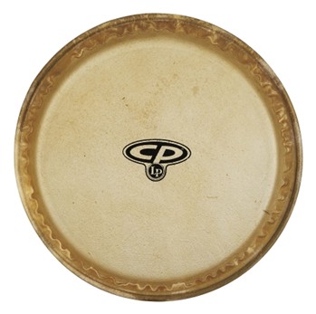 Cp 10 Mtd Conga Head