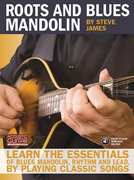 Roots And Blues Mandolin by James Steve for Mandolin M
