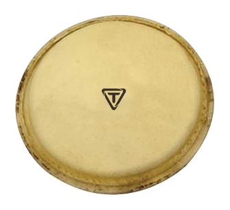 Ritmo Series Replacement Bongo Head by for