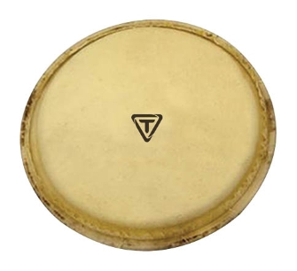 Ritmo Series Replacement Bongo Head by for