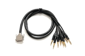 Premier 10 ft. DB25-TRS Cable