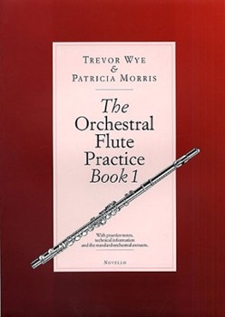 The Orchestral Flute Practice by for