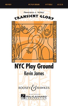 Nyc Play Ground by James Kevin for SSAA